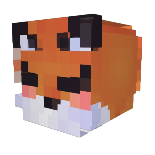 SunnyFrog Minecraft avatar head, 3D render