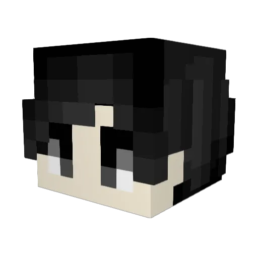 SunnyGaming675 Minecraft avatar head, 3D render