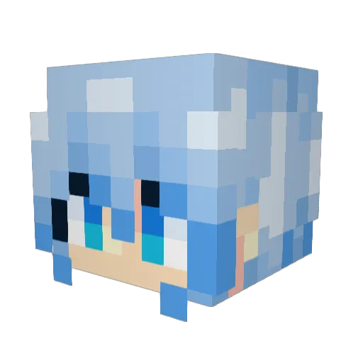 SunnyJDay Minecraft avatar head, 3D render