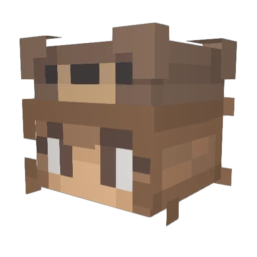 SunnyLittleBear Minecraft avatar head, 3D render