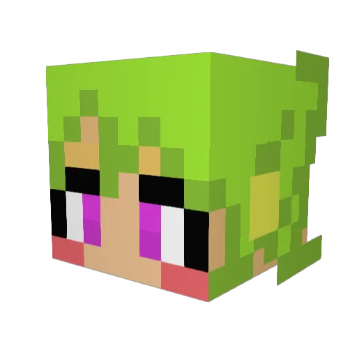 SunnyMon337 Minecraft avatar head, 3D render
