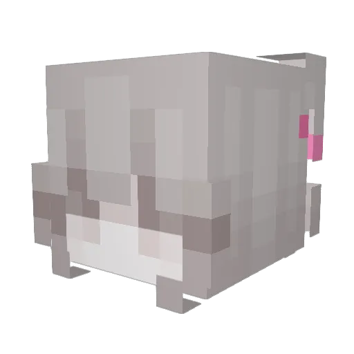 SunnyPlayzUni Minecraft avatar head, 3D render