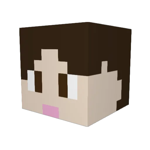 SunnyPopsFun Minecraft avatar head, 3D render
