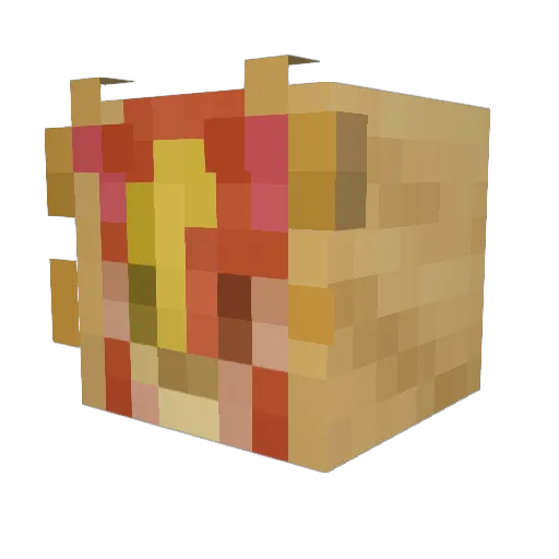 SunnyRoss Minecraft avatar head, 3D render