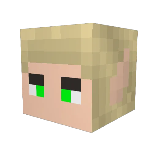 SunnySanni Minecraft avatar head, 3D render