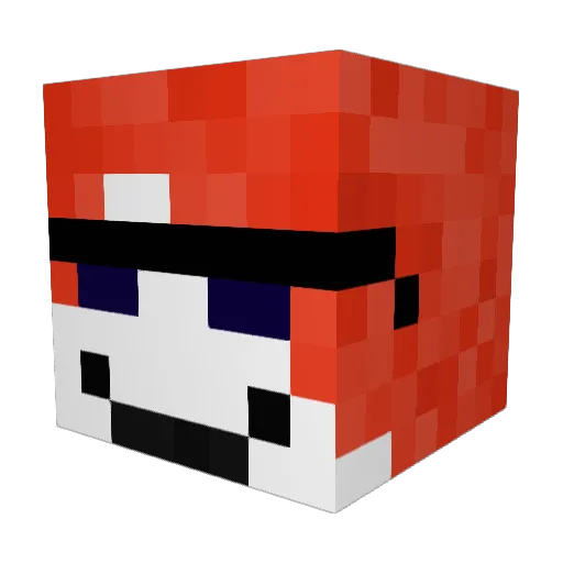 SunnySideUp5599 Minecraft avatar head, 3D render
