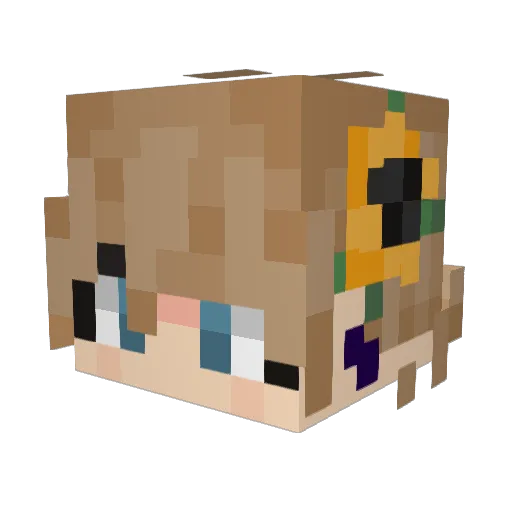 SunnySk1es Minecraft avatar head, 3D render