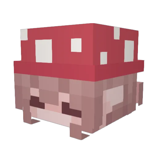 SunnySmall Minecraft avatar head, 3D render