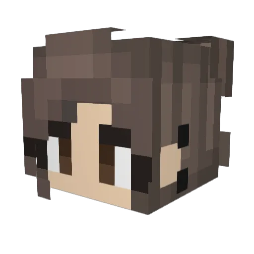 SunnySnowfall Minecraft avatar head, 3D render