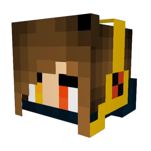 SunnyTL Minecraft avatar head, 3D render