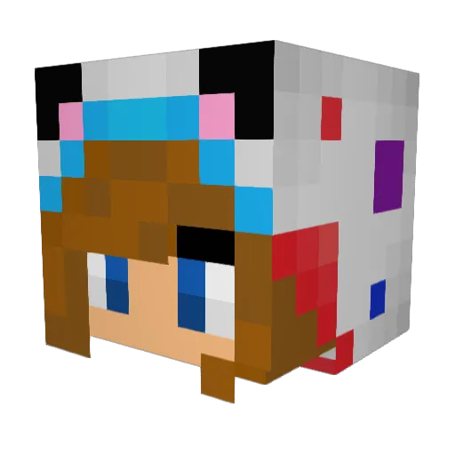 SunnyTheKat Minecraft avatar head, 3D render