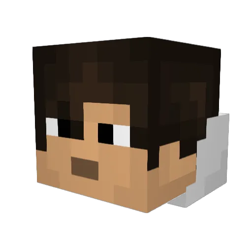 SunnyTurtle08 Minecraft avatar head, 3D render