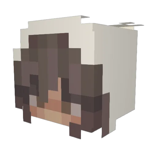 SunnyYko Minecraft avatar head, 3D render