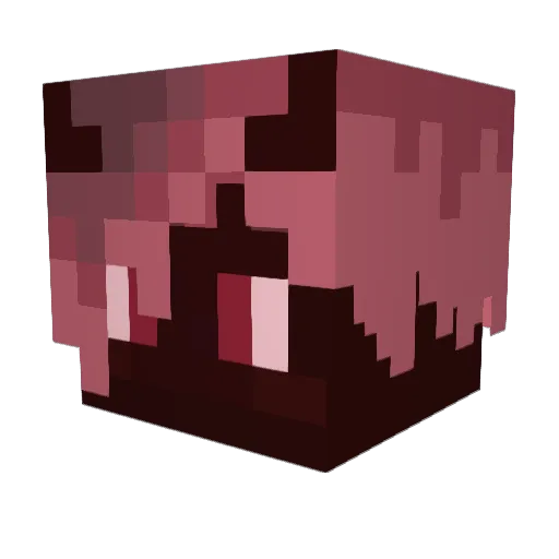 Sunny_0280 Minecraft avatar head, 3D render