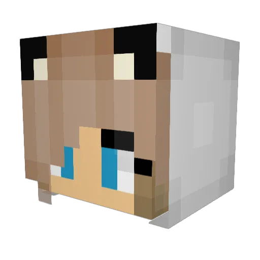 Sunny_086 Minecraft avatar head, 3D render