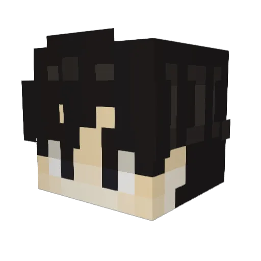 Sunny_Day143 Minecraft avatar head, 3D render