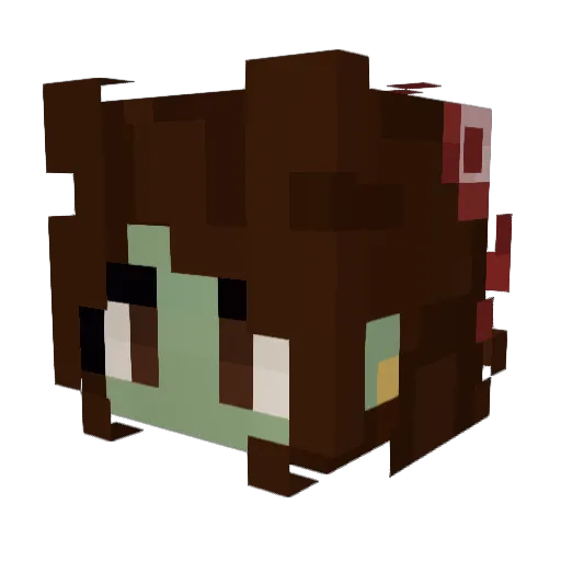 Sunny_Sk1es Minecraft avatar head, 3D render