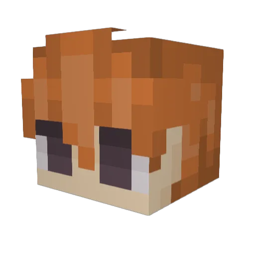 Sunny_Zin Minecraft avatar head, 3D render