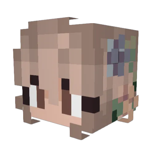 Sunny__20 Minecraft avatar head, 3D render