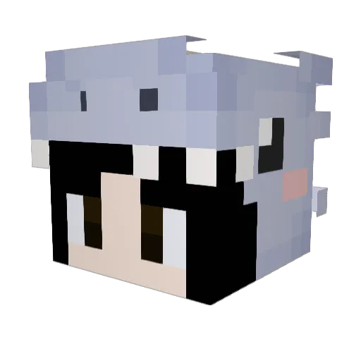 Sunny_daee Minecraft avatar head, 3D render