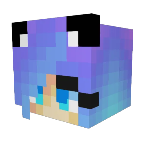 Sunny_one51 Minecraft avatar head, 3D render