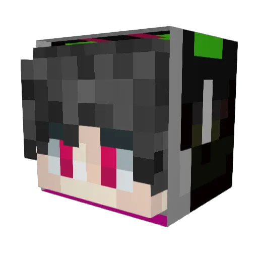Sunny_pao Minecraft avatar head, 3D render