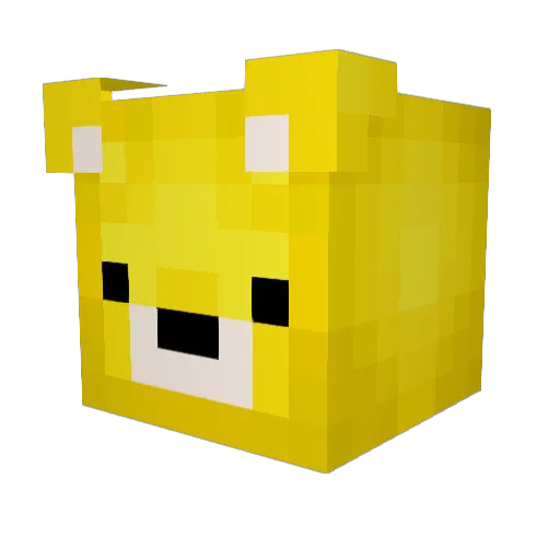 Sunny_pl Minecraft avatar head, 3D render