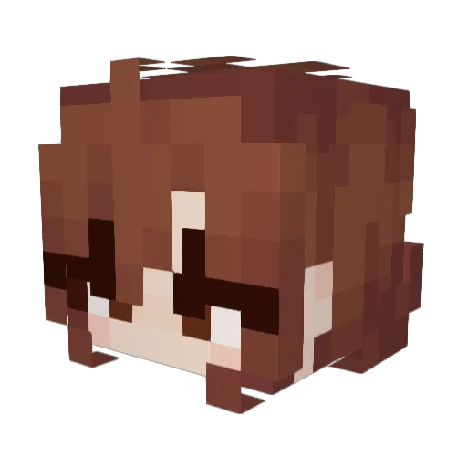 Sunnyaboi Minecraft avatar head, 3D render