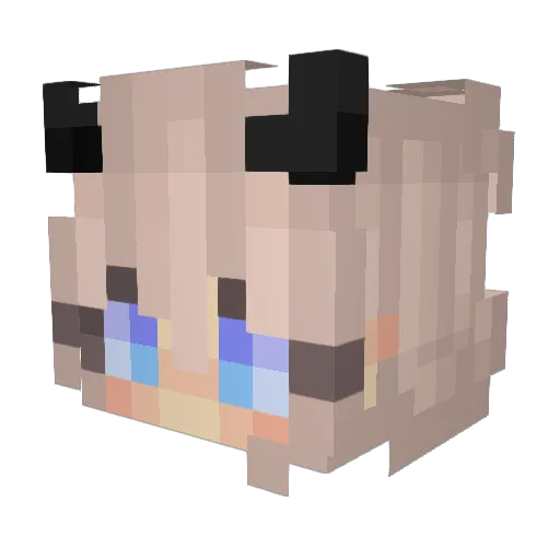 Sunnymoon303 Minecraft avatar head, 3D render