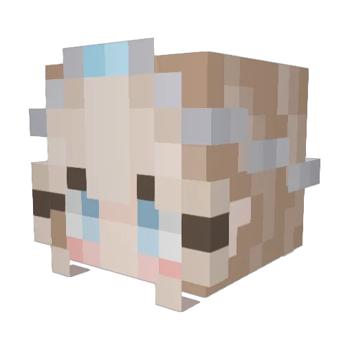 SunnyoxoSun Minecraft avatar head, 3D render
