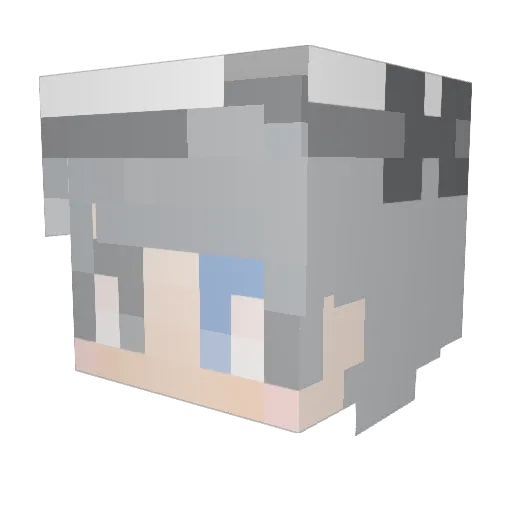Sunnyrainn Minecraft avatar head, 3D render