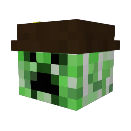 Sunnywout Minecraft avatar head, 3D render