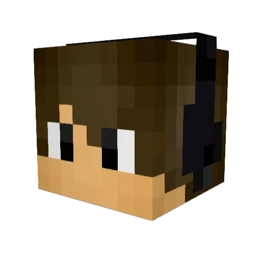 Sunnyyyyyyy Minecraft avatar head, 3D render
