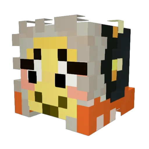 SunofRadd Minecraft avatar head, 3D render
