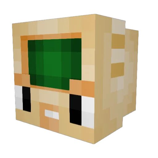 Sunpopo Minecraft avatar head, 3D render
