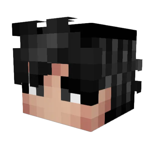 Sunqu Minecraft avatar head, 3D render