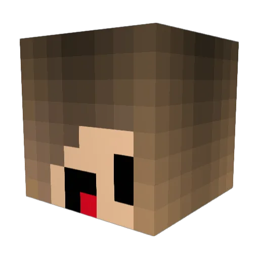 Sunseih Minecraft avatar head, 3D render