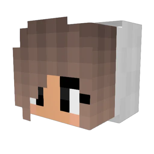 Sunset1285 Minecraft avatar head, 3D render