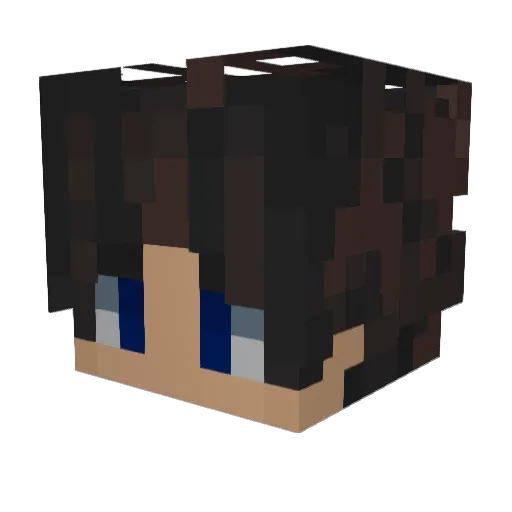 Sunset5445 Minecraft avatar head, 3D render