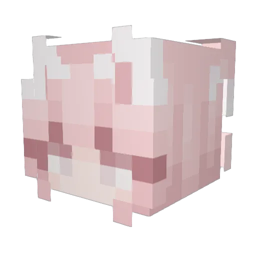 Sunset_1_ Minecraft avatar head, 3D render