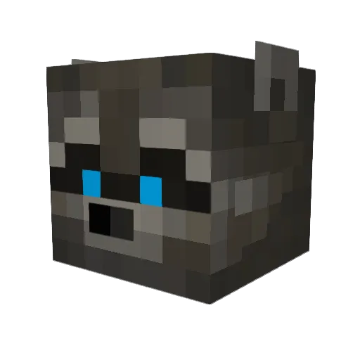 Sunshiine122 Minecraft avatar head, 3D render