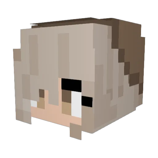 Sunshine08w Minecraft avatar head, 3D render