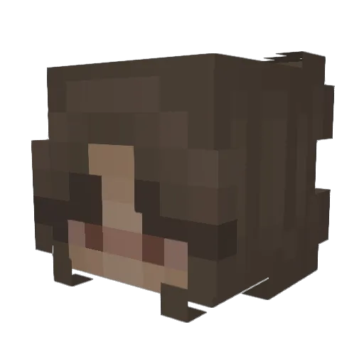 SunshineCat7609 Minecraft avatar head, 3D render