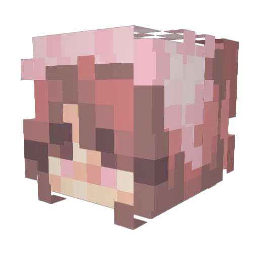 SunshineGirl876 Minecraft avatar head, 3D render