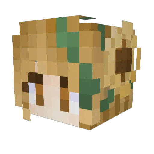 SunshineGirrl Minecraft avatar head, 3D render