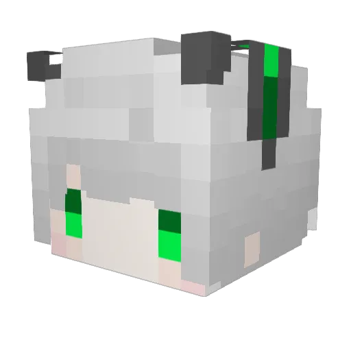 SunshineWeWe Minecraft avatar head, 3D render