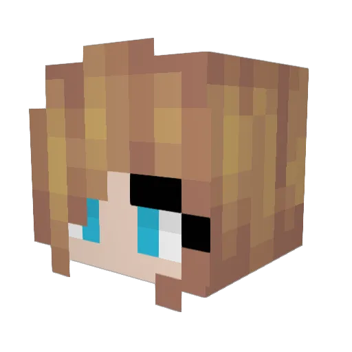 SunshineZ15 Minecraft avatar head, 3D render