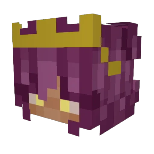 Sunshineara5 Minecraft avatar head, 3D render