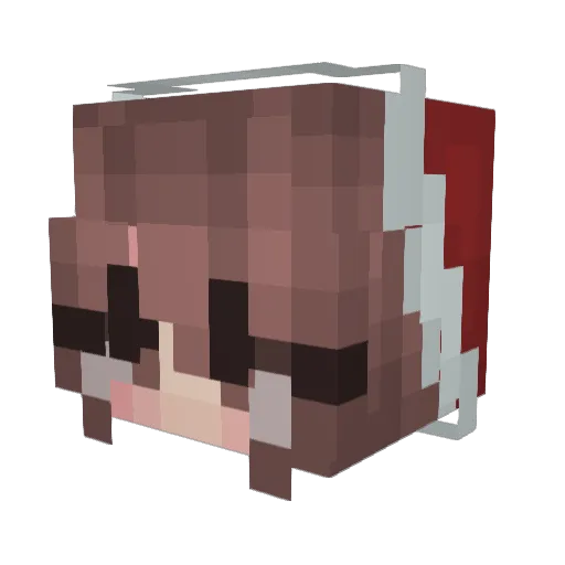 Sunshinegamer1 Minecraft avatar head, 3D render