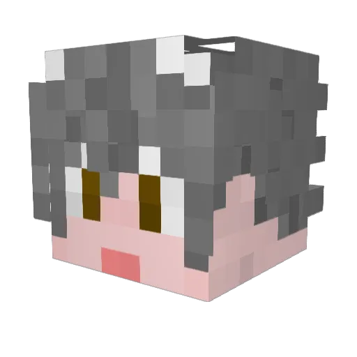 Sunshinehzz Minecraft avatar head, 3D render